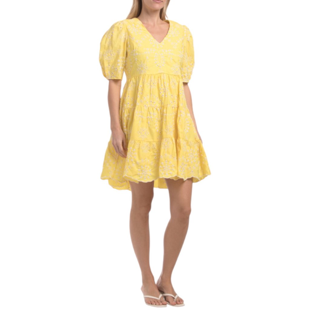 Sail To Sable Puff Sleeve Charlotte Mini Dress